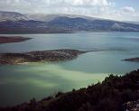 Qaraoun Lake, On the Road to Kefraya