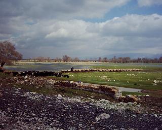 Bekaa Valley, On the Road to Kefraya