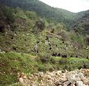 Natural Views Around Musa Castle